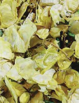 POTPOURRI NEW PARIGI BOUQUET LIMONE