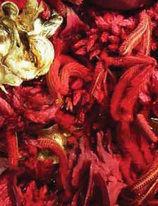 POTPOURRI EMOZIONI GIUBILEO