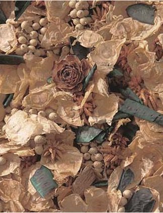 POTPOURRI PESCA