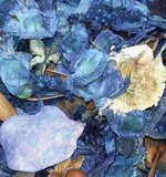 POTPOURRI BLEU MER 2005