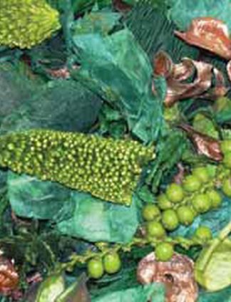 POTPOURRI FRUTTI DELLA PASSIONE 2005