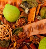 POTPOURRI URANO