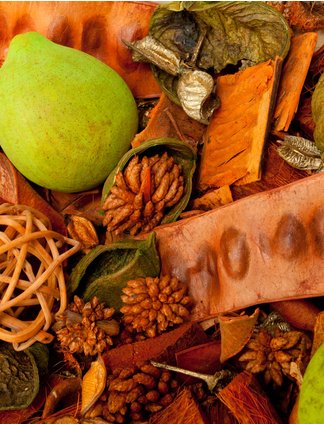 POTPOURRI URANO