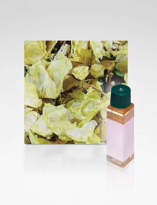 RICARICA DA ML 10 PER POTPOURRI NEW PARIGI BOUQUET LIMONE